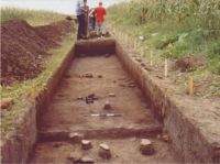 Chronicle of the Archaeological Excavations in Romania, 2004 Campaign. Report no. 206, Siret, Dealul Ruina<br /><a href='CronicaCAfotografii/2004/206/rsz-36.jpg' target=_blank>Display the same picture in a new window</a>