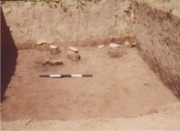 Chronicle of the Archaeological Excavations in Romania, 2004 Campaign. Report no. 206, Siret, Dealul Ruina<br /><a href='CronicaCAfotografii/2004/206/rsz-37.jpg' target=_blank>Display the same picture in a new window</a>