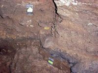 Cronica Cercetărilor Arheologice din România, Campania 2004. Raportul nr. 209, Steierdorf, Peştera Hoţilor (La Hoţu, Peştera de lângă Steierdorf)<br /><a href='CronicaCAfotografii/2004/209/rsz-9.jpg' target=_blank>Priveşte aceeaşi imagine într-o fereastră nouă</a>