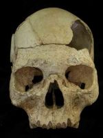 Cronica Cercetărilor Arheologice din România, Campania 2004. Raportul nr. 210, Steierdorf, Plopa-Ponor (Peştera cu Oase)<br /><a href='CronicaCAfotografii/2004/210/rsz-2.jpg' target=_blank>Priveşte aceeaşi imagine într-o fereastră nouă</a>