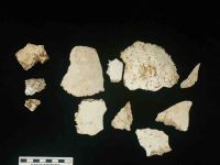 Cronica Cercetărilor Arheologice din România, Campania 2004. Raportul nr. 210, Steierdorf, Plopa-Ponor (Peştera cu Oase)<br /><a href='CronicaCAfotografii/2004/210/rsz-3.jpg' target=_blank>Priveşte aceeaşi imagine într-o fereastră nouă</a>