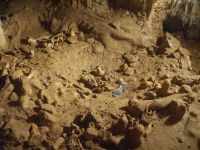 Cronica Cercetărilor Arheologice din România, Campania 2004. Raportul nr. 210, Steierdorf, Plopa-Ponor (Peştera cu Oase)<br /><a href='CronicaCAfotografii/2004/210/rsz-5.jpg' target=_blank>Priveşte aceeaşi imagine într-o fereastră nouă</a>