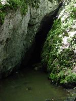 Cronica Cercetărilor Arheologice din România, Campania 2004. Raportul nr. 210, Steierdorf, Plopa-Ponor (Peştera cu Oase)<br /><a href='CronicaCAfotografii/2004/210/rsz-8.jpg' target=_blank>Priveşte aceeaşi imagine într-o fereastră nouă</a>