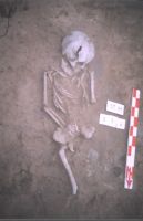 Cronica Cercetărilor Arheologice din România, Campania 2004. Raportul nr. 211, Stelnica, Grădiştea Mare<br /><a href='CronicaCAfotografii/2004/211/rsz-10.jpg' target=_blank>Priveşte aceeaşi imagine într-o fereastră nouă</a>