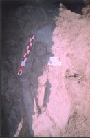 Cronica Cercetărilor Arheologice din România, Campania 2004. Raportul nr. 211, Stelnica, Grădiştea Mare<br /><a href='CronicaCAfotografii/2004/211/rsz-2.jpg' target=_blank>Priveşte aceeaşi imagine într-o fereastră nouă</a>