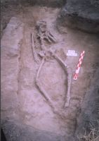 Cronica Cercetărilor Arheologice din România, Campania 2004. Raportul nr. 211, Stelnica, Grădiştea Mare<br /><a href='CronicaCAfotografii/2004/211/rsz-3.jpg' target=_blank>Priveşte aceeaşi imagine într-o fereastră nouă</a>