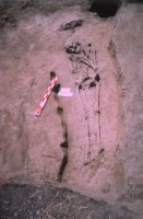 Cronica Cercetărilor Arheologice din România, Campania 2004. Raportul nr. 211, Stelnica, Grădiştea Mare<br /><a href='CronicaCAfotografii/2004/211/rsz-4.jpg' target=_blank>Priveşte aceeaşi imagine într-o fereastră nouă</a>