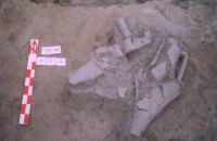 Cronica Cercetărilor Arheologice din România, Campania 2004. Raportul nr. 211, Stelnica, Grădiştea Mare<br /><a href='CronicaCAfotografii/2004/211/rsz-7.jpg' target=_blank>Priveşte aceeaşi imagine într-o fereastră nouă</a>