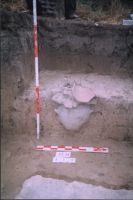 Cronica Cercetărilor Arheologice din România, Campania 2004. Raportul nr. 211, Stelnica, Grădiştea Mare<br /><a href='CronicaCAfotografii/2004/211/rsz-8.jpg' target=_blank>Priveşte aceeaşi imagine într-o fereastră nouă</a>