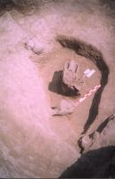 Cronica Cercetărilor Arheologice din România, Campania 2004. Raportul nr. 211, Stelnica, Grădiştea Mare<br /><a href='CronicaCAfotografii/2004/211/rsz-9.jpg' target=_blank>Priveşte aceeaşi imagine într-o fereastră nouă</a>