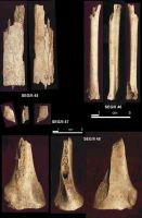 Cronica Cercetărilor Arheologice din România, Campania 2004. Raportul nr. 215, Şeuşa, Gorgan<br /><a href='CronicaCAfotografii/2004/215/rsz-17.jpg' target=_blank>Priveşte aceeaşi imagine într-o fereastră nouă</a>