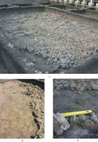 Cronica Cercetărilor Arheologice din România, Campania 2004. Raportul nr. 220, Târgu Frumos, Baza Pătule<br /><a href='CronicaCAfotografii/2004/220/rsz-0.jpg' target=_blank>Priveşte aceeaşi imagine într-o fereastră nouă</a>