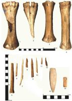 Cronica Cercetărilor Arheologice din România, Campania 2004. Raportul nr. 220, Târgu Frumos, Baza Pătule<br /><a href='CronicaCAfotografii/2004/220/rsz-12.jpg' target=_blank>Priveşte aceeaşi imagine într-o fereastră nouă</a>