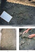 Cronica Cercetărilor Arheologice din România, Campania 2004. Raportul nr. 220, Târgu Frumos, Baza Pătule<br /><a href='CronicaCAfotografii/2004/220/rsz-3.jpg' target=_blank>Priveşte aceeaşi imagine într-o fereastră nouă</a>