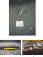 Cronica Cercetărilor Arheologice din România, Campania 2004. Raportul nr. 220, Târgu Frumos, Baza Pătule<br /><a href='CronicaCAfotografii/2004/220/rsz-4.jpg' target=_blank>Priveşte aceeaşi imagine într-o fereastră nouă</a>