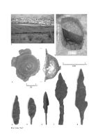 Cronica Cercetărilor Arheologice din România, Campania 2004. Raportul nr. 243, Vlaha<br /><a href='CronicaCAfotografii/2004/243/rsz-3.jpg' target=_blank>Priveşte aceeaşi imagine într-o fereastră nouă</a>