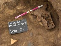 Chronicle of the Archaeological Excavations in Romania, 2005 Campaign. Report no. 26, Alba Iulia, Întreprinderea Monolit (La Recea/ Dealul Furcilor)<br /><a href='CronicaCAfotografii/2005/026/rsz-0.jpg' target=_blank>Display the same picture in a new window</a>
