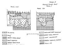 Cronica Cercetărilor Arheologice din România, Campania 2005. Raportul nr. 31, Axente Sever<br /><a href='CronicaCAfotografii/2005/031/rsz-0.jpg' target=_blank>Priveşte aceeaşi imagine într-o fereastră nouă</a>