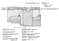Cronica Cercetărilor Arheologice din România, Campania 2005. Raportul nr. 31, Axente Sever<br /><a href='CronicaCAfotografii/2005/031/rsz-3.jpg' target=_blank>Priveşte aceeaşi imagine într-o fereastră nouă</a>