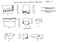 Cronica Cercetărilor Arheologice din România, Campania 2005. Raportul nr. 31, Axente Sever<br /><a href='CronicaCAfotografii/2005/031/rsz-7.jpg' target=_blank>Priveşte aceeaşi imagine într-o fereastră nouă</a>