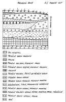 Cronica Cercetărilor Arheologice din România, Campania 2005. Raportul nr. 38, Brădeni<br /><a href='CronicaCAfotografii/2005/038/rsz-2.jpg' target=_blank>Priveşte aceeaşi imagine într-o fereastră nouă</a>