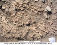 Cronica Cercetărilor Arheologice din România, Campania 2005. Raportul nr. 65, Costişa, Dealul Cetăţuia<br /><a href='CronicaCAfotografii/2005/065/rsz-1.jpg' target=_blank>Priveşte aceeaşi imagine într-o fereastră nouă</a>