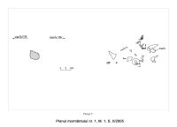 Chronicle of the Archaeological Excavations in Romania, 2005 Campaign. Report no. 71, Desa, La ruptură<br /><a href='CronicaCAfotografii/2005/071/rsz-12.jpg' target=_blank>Display the same picture in a new window</a>