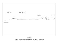 Chronicle of the Archaeological Excavations in Romania, 2005 Campaign. Report no. 71, Desa, La ruptură<br /><a href='CronicaCAfotografii/2005/071/rsz-13.jpg' target=_blank>Display the same picture in a new window</a>