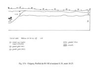 Cronica Cercetărilor Arheologice din România, Campania 2005. Raportul nr. 79, Fulgeriş, La Trei Cireşi (Dealul Fulgeriş).<br /> Sectorul Ilustratie.<br /><a href='CronicaCAfotografii/2005/079/rsz-13.jpg' target=_blank>Priveşte aceeaşi imagine într-o fereastră nouă</a>