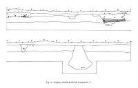 Cronica Cercetărilor Arheologice din România, Campania 2005. Raportul nr. 79, Fulgeriş, La Trei Cireşi (Dealul Fulgeriş).<br /> Sectorul Ilustratie.<br /><a href='CronicaCAfotografii/2005/079/rsz-14.jpg' target=_blank>Priveşte aceeaşi imagine într-o fereastră nouă</a>