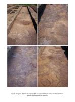 Cronica Cercetărilor Arheologice din România, Campania 2005. Raportul nr. 79, Fulgeriş, La Trei Cireşi (Dealul Fulgeriş).<br /> Sectorul Ilustratie.<br /><a href='CronicaCAfotografii/2005/079/rsz-2.jpg' target=_blank>Priveşte aceeaşi imagine într-o fereastră nouă</a>