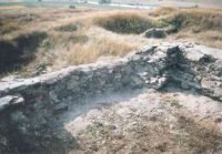 Cronica Cercetărilor Arheologice din România, Campania 2005. Raportul nr. 80, Garvăn, Bisericuţa (Bisericuţa)<br /><a href='CronicaCAfotografii/2005/080/rsz-8.jpg' target=_blank>Priveşte aceeaşi imagine într-o fereastră nouă</a>