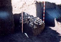 Cronica Cercetărilor Arheologice din România, Campania 2005. Raportul nr. 88, Hărman, Groapa Banului<br /><a href='CronicaCAfotografii/2005/088/rsz-2.jpg' target=_blank>Priveşte aceeaşi imagine într-o fereastră nouă</a>