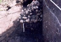 Cronica Cercetărilor Arheologice din România, Campania 2005. Raportul nr. 88, Hărman, Groapa Banului<br /><a href='CronicaCAfotografii/2005/088/rsz-4.jpg' target=_blank>Priveşte aceeaşi imagine într-o fereastră nouă</a>