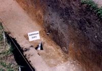 Cronica Cercetărilor Arheologice din România, Campania 2005. Raportul nr. 88, Hărman, Groapa Banului<br /><a href='CronicaCAfotografii/2005/088/rsz-5.jpg' target=_blank>Priveşte aceeaşi imagine într-o fereastră nouă</a>