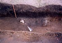 Cronica Cercetărilor Arheologice din România, Campania 2005. Raportul nr. 88, Hărman, Groapa Banului<br /><a href='CronicaCAfotografii/2005/088/rsz-9.jpg' target=_blank>Priveşte aceeaşi imagine într-o fereastră nouă</a>