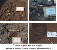 Cronica Cercetărilor Arheologice din România, Campania 2005. Raportul nr. 97, Isaiia, Balta Popii<br /><a href='CronicaCAfotografii/2005/097/rsz-4.jpg' target=_blank>Priveşte aceeaşi imagine într-o fereastră nouă</a>