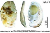 Cronica Cercetărilor Arheologice din România, Campania 2005. Raportul nr. 99, Însurăţei, Popina I (Rubla)<br /><a href='CronicaCAfotografii/2005/099/rsz-10.jpg' target=_blank>Priveşte aceeaşi imagine într-o fereastră nouă</a>