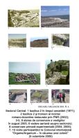 Chronicle of the Archaeological Excavations in Romania, 2005 Campaign. Report no. 101, Jurilovca, Capul Dolojman.<br /> Sector 02-poze-sector-central.<br /><a href='CronicaCAfotografii/2005/101/rsz-3.jpg' target=_blank>Display the same picture in a new window</a>