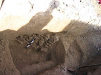 Cronica Cercetărilor Arheologice din România, Campania 2005. Raportul nr. 111, Mangalia<br /><a href='CronicaCAfotografii/2005/111/rsz-3.jpg' target=_blank>Priveşte aceeaşi imagine într-o fereastră nouă</a>