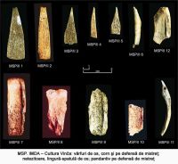 Chronicle of the Archaeological Excavations in Romania, 2005 Campaign. Report no. 117, Miercurea Sibiului, Petriş<br /><a href='CronicaCAfotografii/2005/117/rsz-2.jpg' target=_blank>Display the same picture in a new window</a>