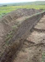 Cronica Cercetărilor Arheologice din România, Campania 2005. Raportul nr. 133, Pantelimon, Cetate<br /><a href='CronicaCAfotografii/2005/133/rsz-0.jpg' target=_blank>Priveşte aceeaşi imagine într-o fereastră nouă</a>