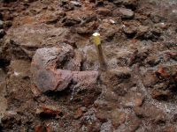 Cronica Cercetărilor Arheologice din România, Campania 2005. Raportul nr. 134, Parţa, Casa Cerbului<br /><a href='CronicaCAfotografii/2005/134/rsz-0.jpg' target=_blank>Priveşte aceeaşi imagine într-o fereastră nouă</a>