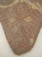 Cronica Cercetărilor Arheologice din România, Campania 2005. Raportul nr. 134, Parţa, Casa Cerbului<br /><a href='CronicaCAfotografii/2005/134/rsz-3.jpg' target=_blank>Priveşte aceeaşi imagine într-o fereastră nouă</a>