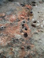 Cronica Cercetărilor Arheologice din România, Campania 2005. Raportul nr. 134, Parţa, Casa Cerbului<br /><a href='CronicaCAfotografii/2005/134/rsz-9.jpg' target=_blank>Priveşte aceeaşi imagine într-o fereastră nouă</a>