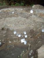 Cronica Cercetărilor Arheologice din România, Campania 2005. Raportul nr. 137, Petreştii De Jos, Dealul lui Horna<br /><a href='CronicaCAfotografii/2005/137/rsz-2.jpg' target=_blank>Priveşte aceeaşi imagine într-o fereastră nouă</a>