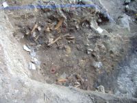 Cronica Cercetărilor Arheologice din România, Campania 2005. Raportul nr. 137, Petreştii De Jos, Dealul lui Horna<br /><a href='CronicaCAfotografii/2005/137/rsz-3.jpg' target=_blank>Priveşte aceeaşi imagine într-o fereastră nouă</a>