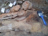 Cronica Cercetărilor Arheologice din România, Campania 2005. Raportul nr. 137, Petreştii De Jos, Dealul lui Horna<br /><a href='CronicaCAfotografii/2005/137/rsz-5.jpg' target=_blank>Priveşte aceeaşi imagine într-o fereastră nouă</a>