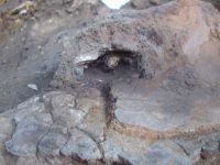 Cronica Cercetărilor Arheologice din România, Campania 2005. Raportul nr. 137, Petreştii De Jos, Dealul lui Horna<br /><a href='CronicaCAfotografii/2005/137/rsz-6.jpg' target=_blank>Priveşte aceeaşi imagine într-o fereastră nouă</a>