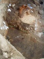 Cronica Cercetărilor Arheologice din România, Campania 2005. Raportul nr. 137, Petreştii De Jos, Dealul lui Horna<br /><a href='CronicaCAfotografii/2005/137/rsz-7.jpg' target=_blank>Priveşte aceeaşi imagine într-o fereastră nouă</a>